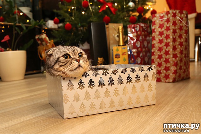 ���� 25: ����� � ��� �������� ��������, ����� 2