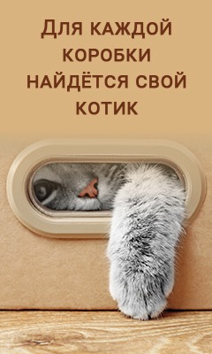 ����: ������� � ����� �����