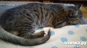 ����: ��������� �����!!!