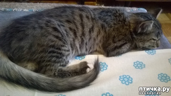 ���� 1: ��������� �����!!!