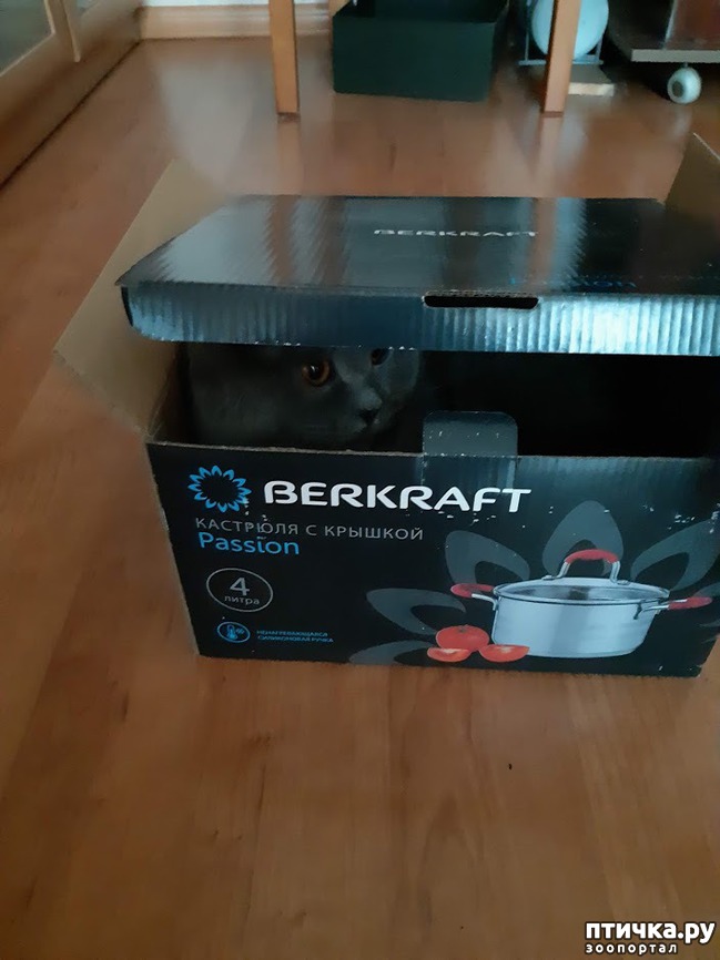 ���� 2: ������� � ����� �����