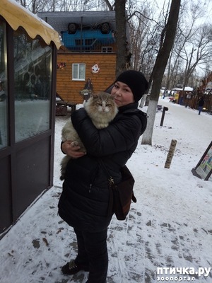 ����: ����������!