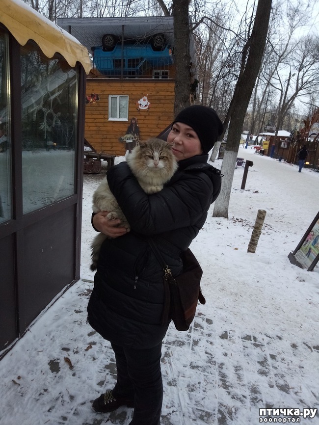 ���� 1: ����������!