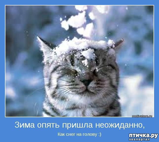 ���� 1: �����������: ��� � ������ ����!