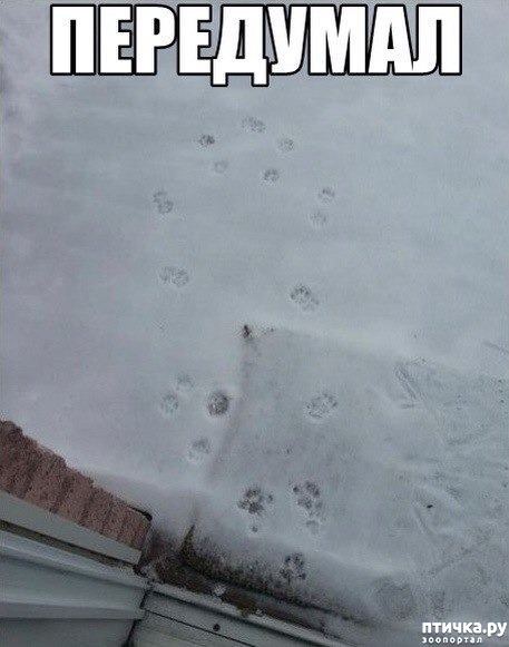 ���� 2: �����������: ��� � ������ ����!