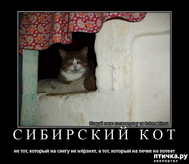 ���� 3: �����������: ��� � ������ ����!