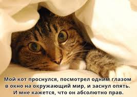 ���� 6: �����������: ��� � ������ ����!