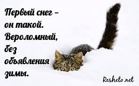 ���� 10: �����������: ��� � ������ ����!