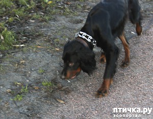 ����: ������������� ����.