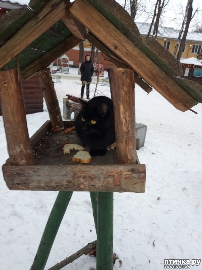 ���� 1: ��������� ���� �����)))