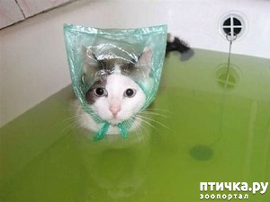 ����: ������� ����� ���� �� ������ � ����