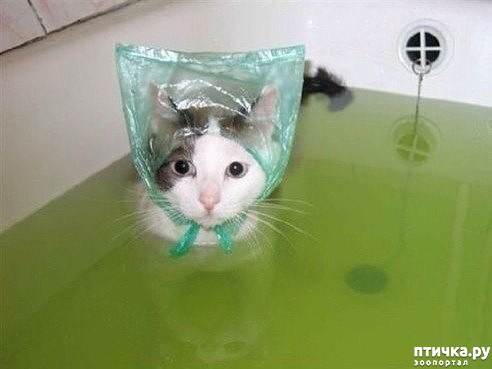 ���� 1: ������� ����� ���� �� ������ � ����