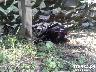 ���� 2: ��������� ���� �����)))