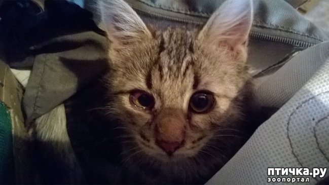 ���� 2: ���������. �������.