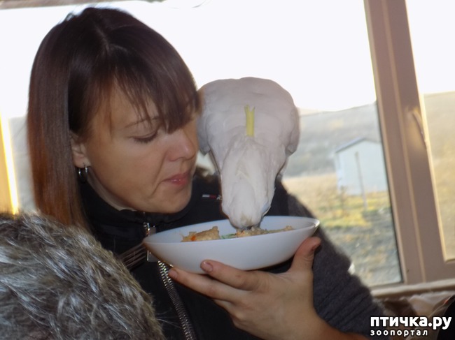 ���� 3: �������������� �������������� � ����� �� ���� � ����� ���������