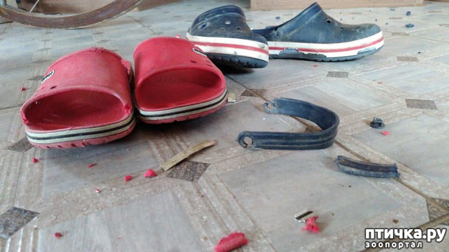 ���� 4: �������������� �������������� � ����� �� ���� � ����� ���������