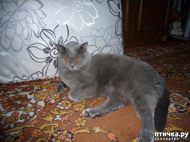 ���� 3: ����� ������� ��� ����� ����