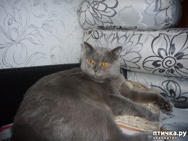 ���� 1: ����� ������� ��� ����� ����