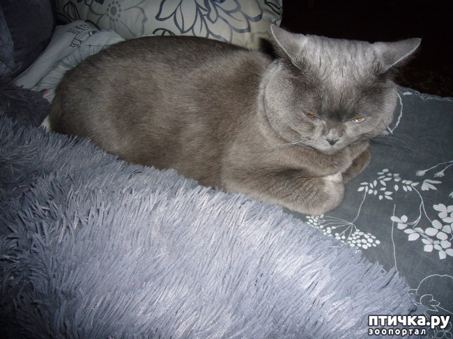 ���� 4: ����� ������� ��� ����� ����