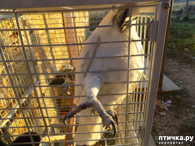 ���� 5: �������������� �������������� � ����� �� ���� � ����� ���������