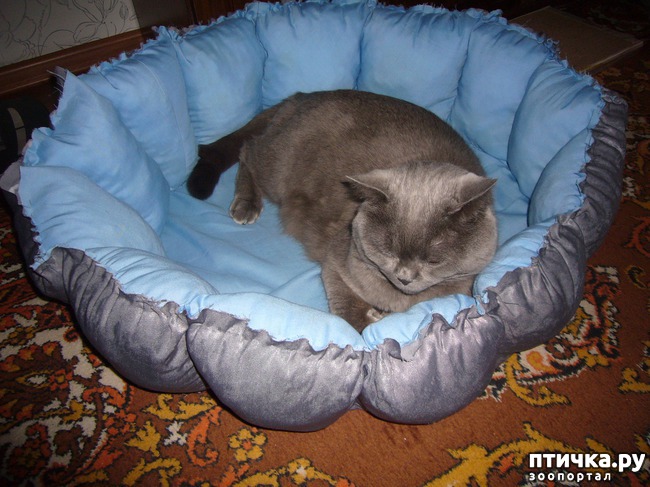 ���� 6: ����� ������� ��� ����� ����