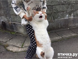 ����: �������, � � � �����!