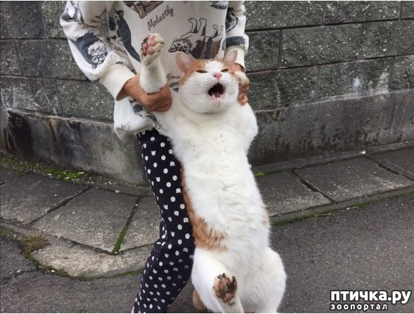 ���� 1: �������, � � � �����!