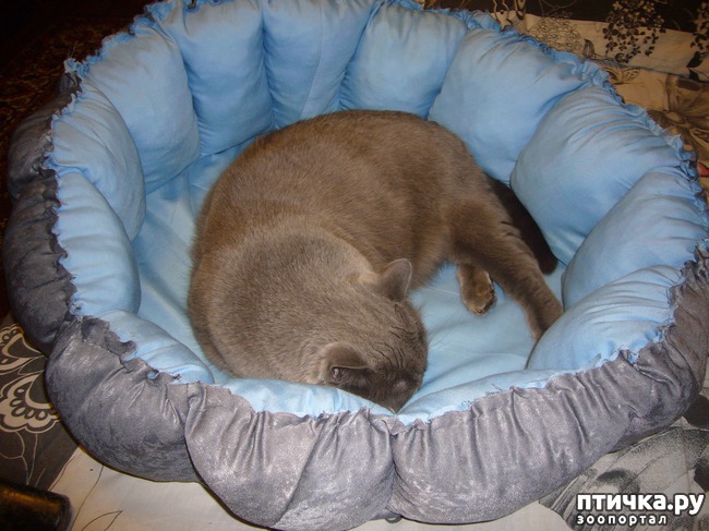 ���� 8: ����� ������� ��� ����� ����