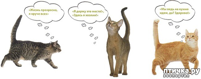 ���� 1: ���� ������� �����������.