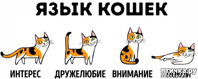 ���� 2: ���� ������� �����������.