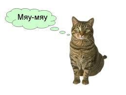 ���� 3: ���� ������� �����������.