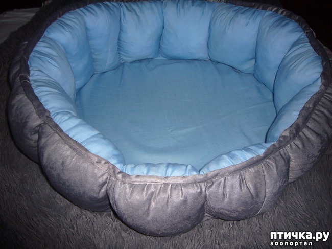 ���� 9: ����� ������� ��� ����� ����