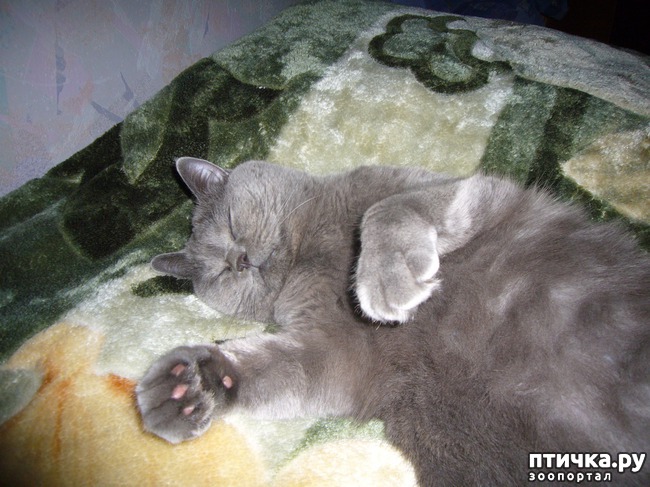 ���� 2: ����� ������� ��� ����� ����