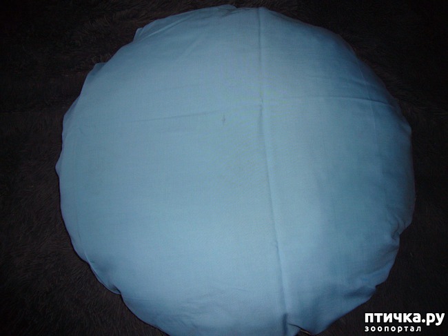 ���� 10: ����� ������� ��� ����� ����