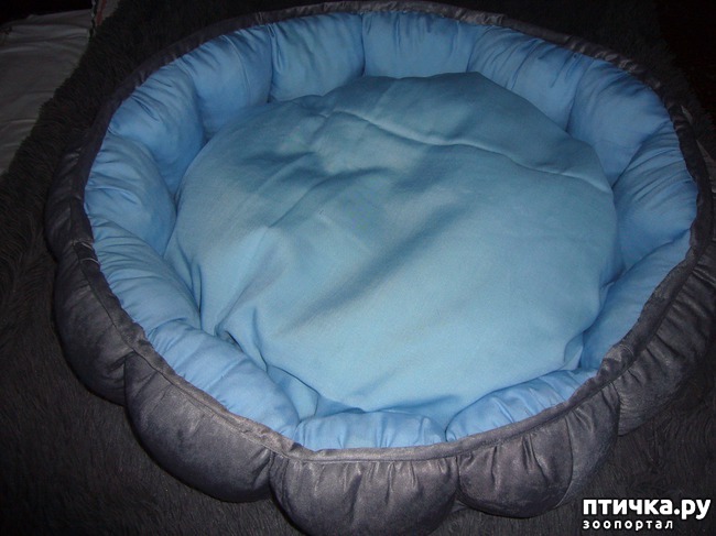 ���� 11: ����� ������� ��� ����� ����