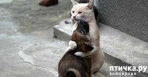 ����: ��� �� �������� ���� ������