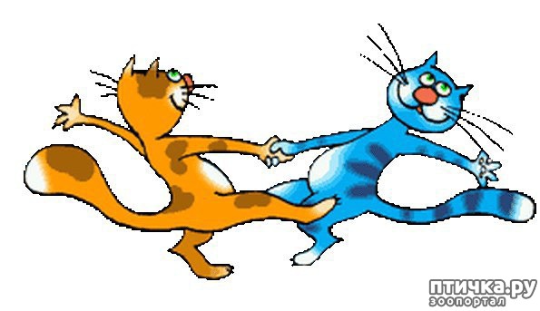 ���� 2: ������� ���!!!