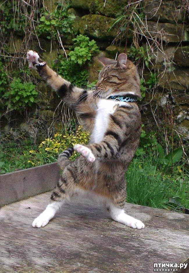 ���� 4: ������� ���!!!