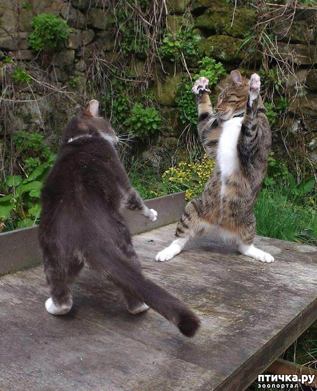 ���� 5: ������� ���!!!