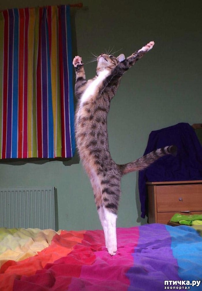 ���� 7: ������� ���!!!