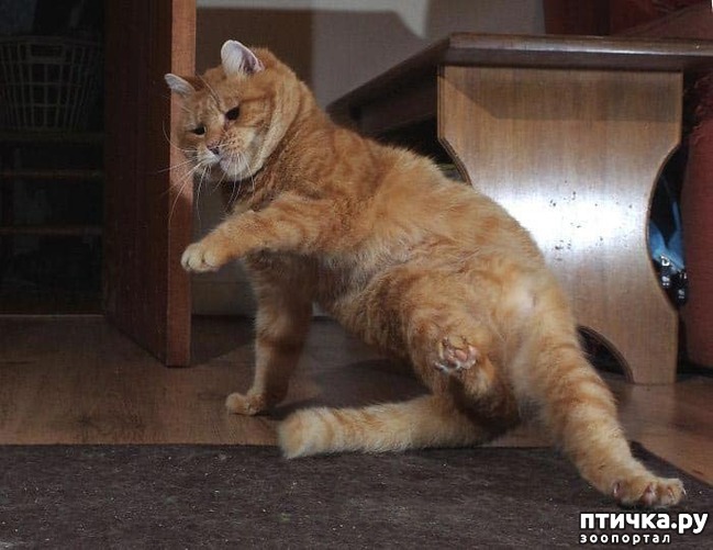 ���� 8: ������� ���!!!