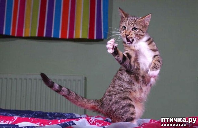 ���� 10: ������� ���!!!