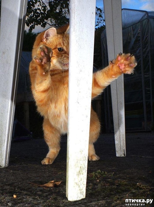 ���� 11: ������� ���!!!