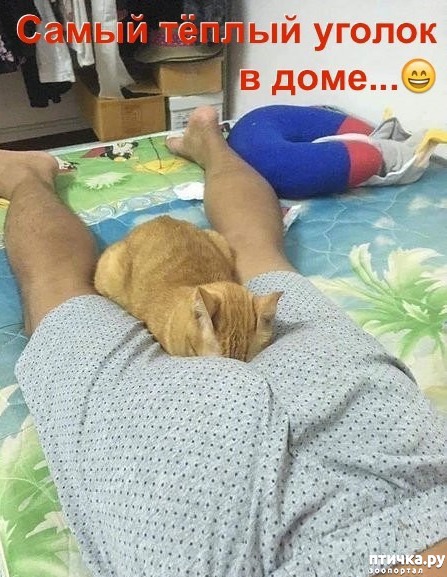 ���� 1: ����� ������ ������ � ����