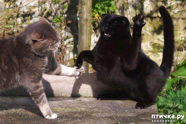 ���� 14: ������� ���!!!