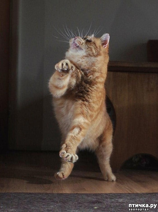 ���� 16: ������� ���!!!