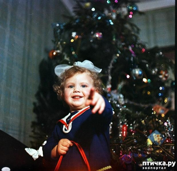 ���� 2: ������� ��� ���� ������