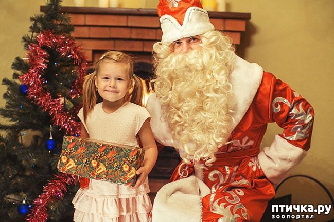 ���� 3: ������� ��� ���� ������