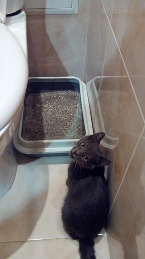 ����: ��������� ��� �������