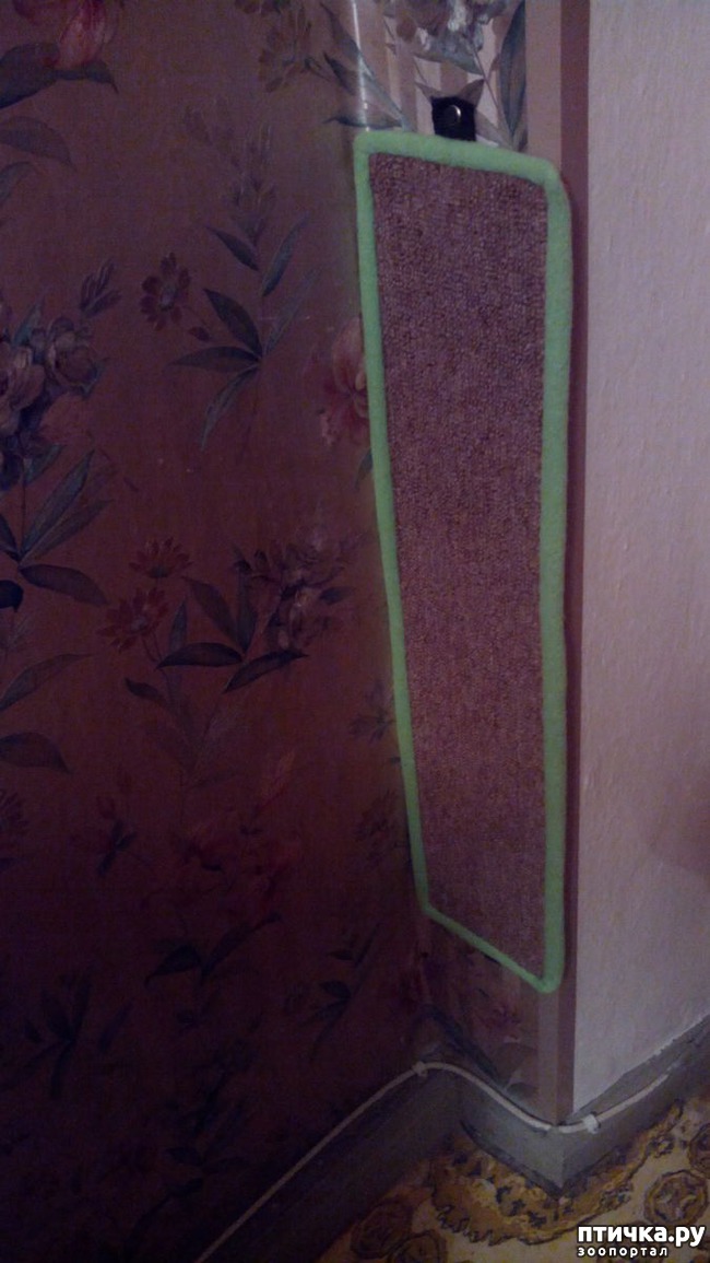 ���� 2: ��������� ��� �������